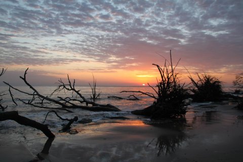 This 1-Mile Trail In Florida Leads To A Black Rock Beach With Mountains Of Driftwood