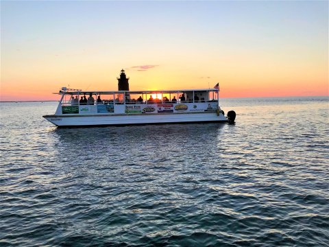 Playful Dolphins Escort You Through The Delaware Bay On This One Of A Kind Boat Tour