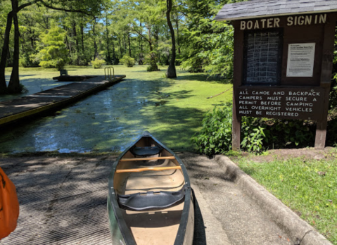 Visit A Submerged Enchanted Forest At Merchants Millpond State Park In North Carolina