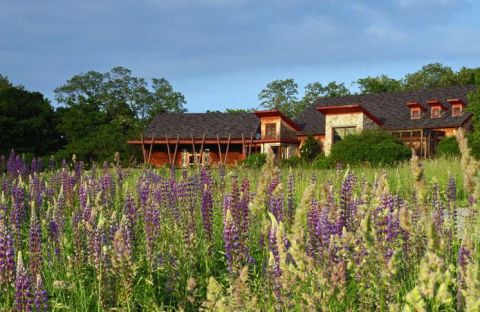 Tucked Away In a Beautiful Wildlife Refuge, the Rhode Island Audubon's Nature Center and Aquarium is a Must Visit