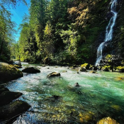 The Remote Hike To Feature Show Falls In Washington Winds Through An Old Growth Forest