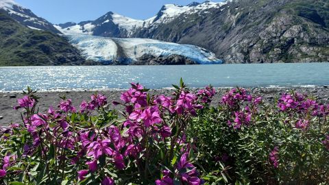 Hike High Above The Treeline And Spot Portage Glacier On This Beautiful Trail In The Chugach National Forest