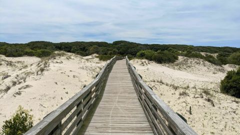 The Dungeness Loop Trail In Georgia Takes You From One Side Of Cumberland Island To The Other