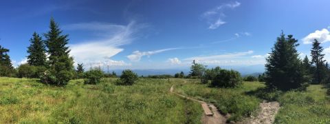 Andrews Bald Trail In North Carolina Leads To Panoramic Views Of The Smoky Mountains