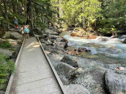 The Hike To Avalanche Gorge In Montana Winds Through A Stunning Old Growth Forest