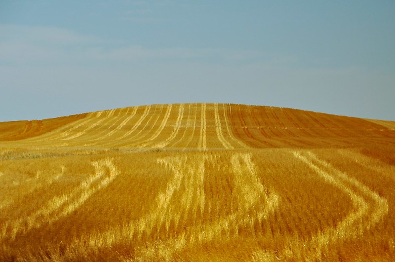 South Dakota banner image