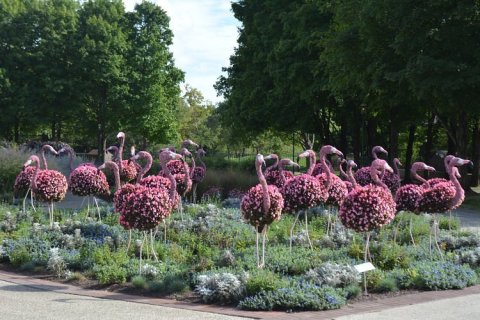 Meander Through A Menagerie Of Colorful Animal-Themed Topiaries At Ohio's Franklin Park Conservatory