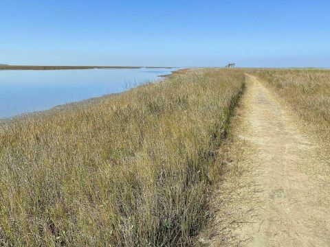 The Galveston Island State Park Trail In Texas Takes You From The Bay To The Beach And Back