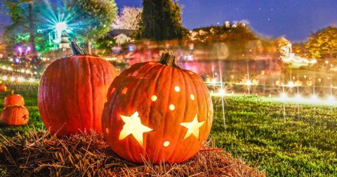 Hundreds Of Glowing Jack-O-Lanterns Will Adorn This Maryland Garden And It's A Festive Sight To See