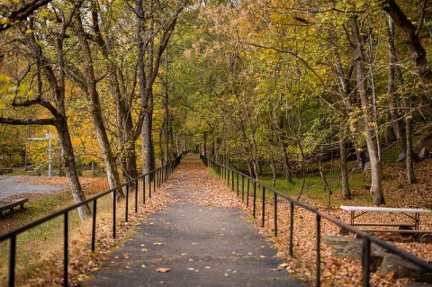 Follow This Abandoned Railroad Trail For One Of The Most Unique Hikes In West Virginia