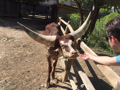 Most People Don’t Know About This Underrated Zoo Hiding In Colorado