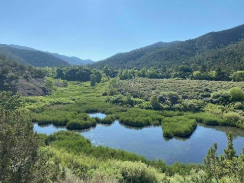 Two Mile Pond Loop Is A 1.4-Mile Loop Trail In New Mexico That Is Perfect For Your Next Outing