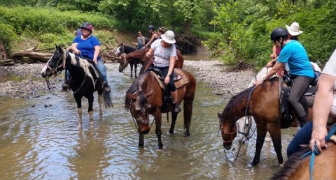 Hit The Trails On Horseback With This Family Friendly Farm