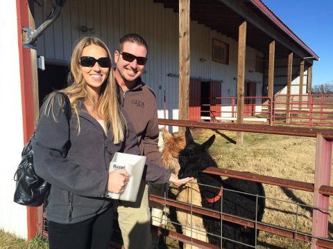 You Can Go Camping With Alpacas At Zena Suri Alpacas In Oklahoma