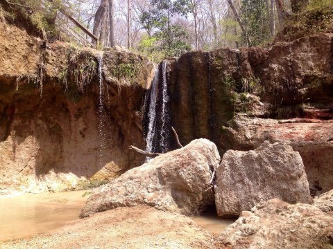 Clark Creek State Park Is A Unique Dog-Friendly Destination In Mississippi Perfect For An Outdoor Adventure