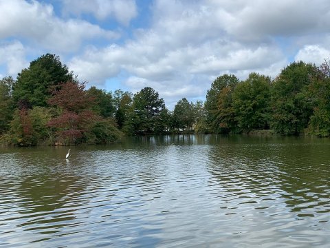 Experience Alabama's Great Outdoors With A Day Trip To James D. Martin Wildlife Park