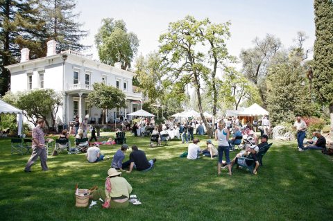 Let Yourself Go Nutty At The Fun-Filled Nut Festival That's Taking Place In Northern California