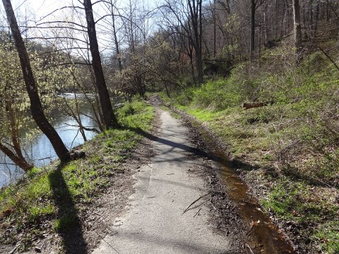 A Mysterious Woodland Trail In Maryland Will Take You To The Original Daniels Ruins