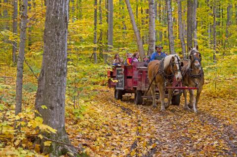 Knaebe's Apple Farm In Michigan Serves Cider, Wood-Fired Pizza, And Classic Fall Fun