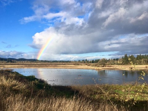 There's An Enchanting Oasis Hiding In Plain Sight Just Miles From Oregon's Largest City