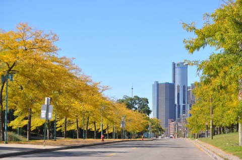 You'll Be Happy To Hear That Detroit’s Fall Foliage Is Expected To Be Bright And Bold This Year