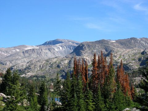 You Can Hike To The Site Of A Tragic Plane Crash On Wyoming's Bomber Mountain