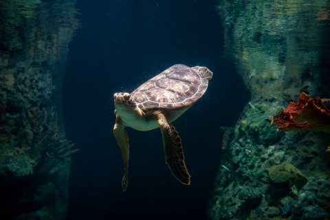 The PPG Aquarium In Pennsylvania Has Officially Been Named One Of The Best In The Country