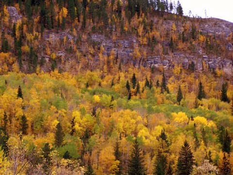 When And Where To Expect South Dakota's Fall Foliage To Peak This Year