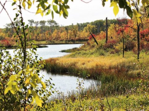 The One Hikeable Lake In North Dakota That's Simply Breathtaking In The Fall