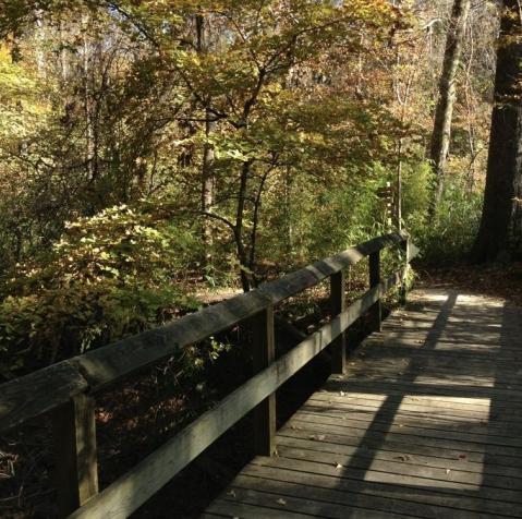 Explore over 5 Miles Of Trails At The Scenic Walter B Jacobs Park In Louisiana