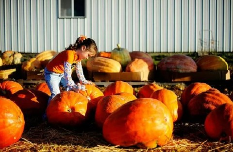 The Quirky Missouri Town That Transforms Into A Pumpkin Wonderland Every Fall