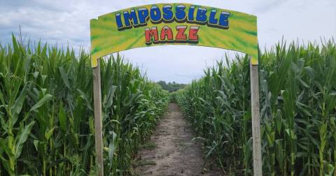 Get Lost In These 7 Awesome Corn Mazes In Wisconsin This Fall