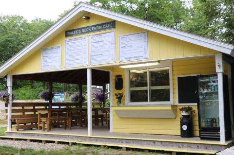 This Tasty Farm Cafe In Maine Sources Their Ingredients From The Surrounding Pastures