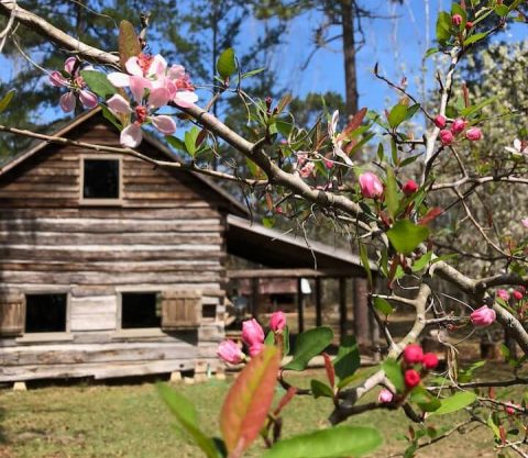 An Overnight Stay At This Secluded Cabin In Florida Costs Around $200 A Night And Will Take You Back In Time