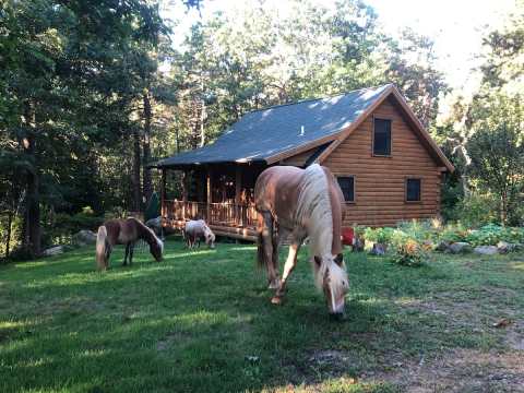 Sleep Among The Trees At Dogtown Cabin At Applecart Farm In Massachusetts