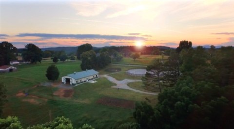 One Of The Most Incredible Small Businesses In Missouri, The Gentle Barn Gives Farm Animals A New Lease On Life