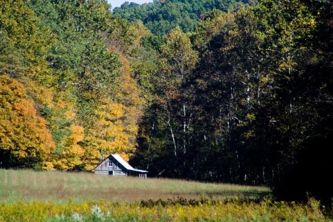 The Indiana Ghost Town That's Perfect For An Autumn Day Trip