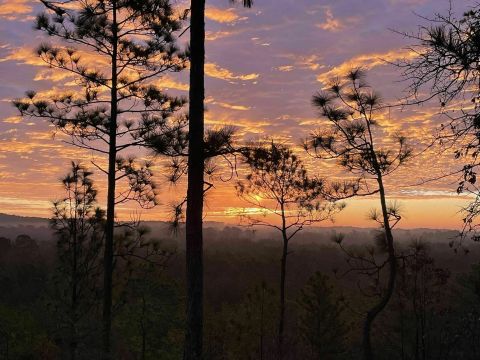 The Backbone Trail In Louisiana Takes You From Forests to Vista Views And Back