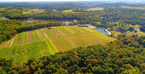 Add An Autumn Adventure To Your Itinerary With A Visit To Freedom Farms Near Pittsburgh