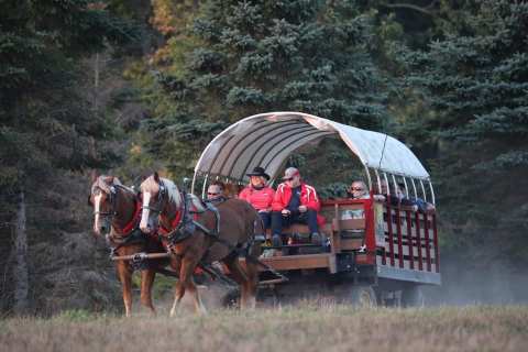 One Of The Most Unique Towns In America, Benezette Is Perfect For A Day Trip In Pennsylvania