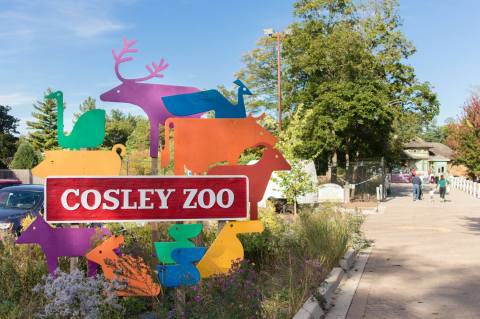 Cosley Zoo Is A Small Zoo Located On The Property Of A Former 1800s Train Station In Illinois