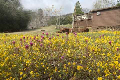 An Overnight Stay At This Secluded Cabin In Southern California Costs Less Than $100 A Night And Will Take You Back In Time