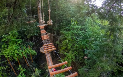 Enjoy An Exhilarating Tree Top Adventure At Washington's Top Aerial Park