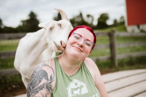 Cuddle The Most Adorable Rescued Farm Animals For Free At Barn Sanctuary In Michigan