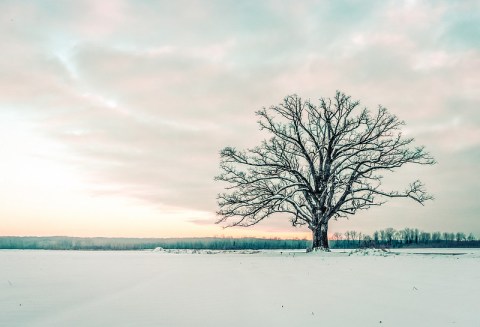 Get Ready To Bundle Up, The Farmers’ Almanac is Predicting Freezing Cold Temperatures This Winter In Missouri