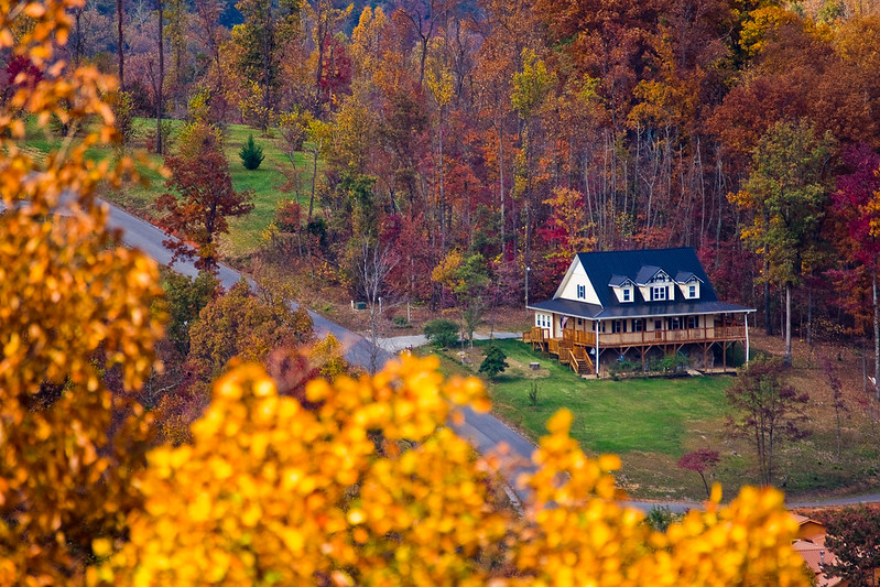 North Carolina banner image