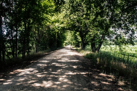 The Longest Rail Trail In The U.S., Katy Trail In Missouri Is A Bucket List Adventure