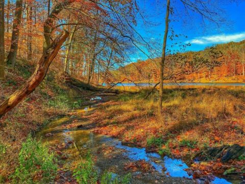 This Easy Fall Hike In Indiana Is Under 2 Miles And You'll Love Every Step You Take