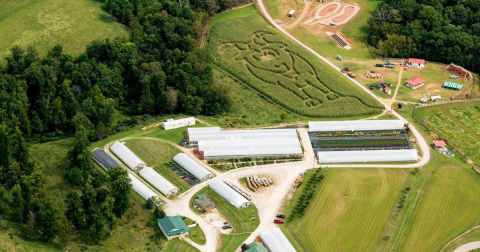 Get Lost In These 5 Awesome Corn Mazes In West Virginia This Fall