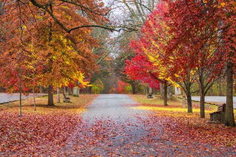 When And Where To Expect New Jersey's Fall Foliage To Peak This Year